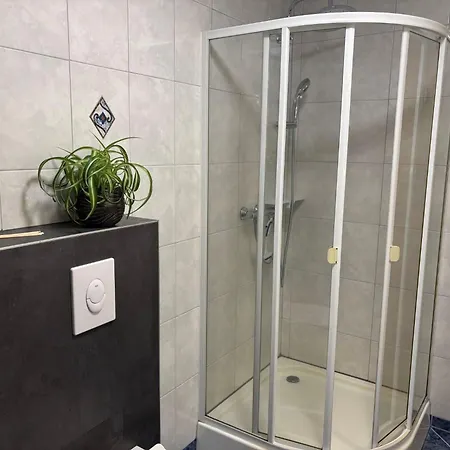 Schwarzachtal Oase Apartament *